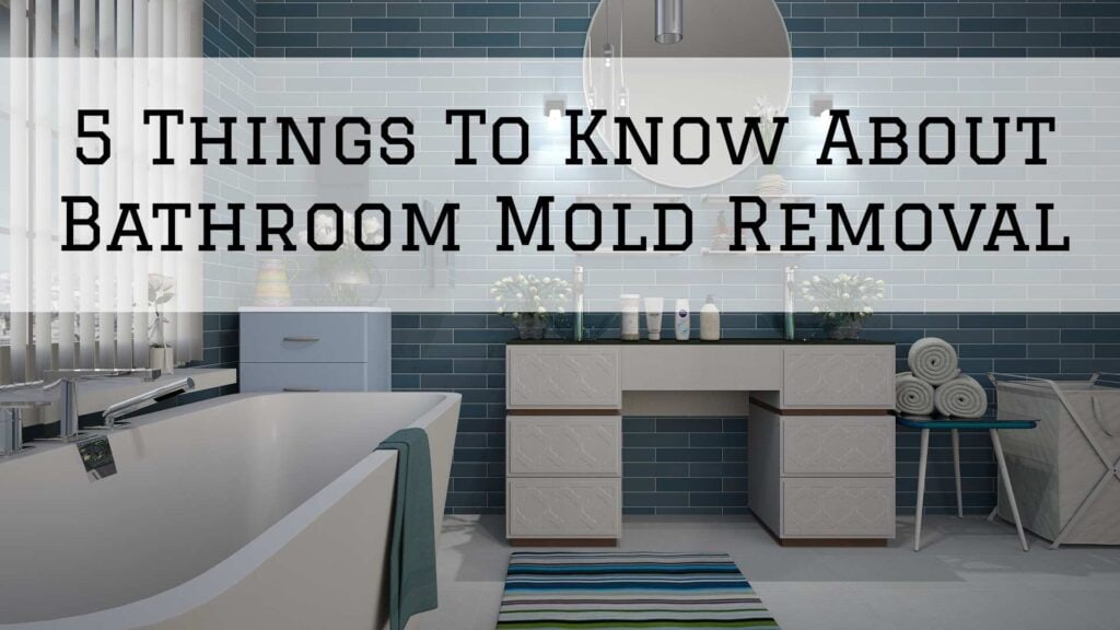 2021-08-27 Image Painting McLean VA Bathroom Mold Removal